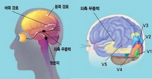 file:비책용_파일_위키에 쓰일 거_아님책_4.jpg